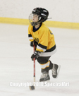 Alexander Hockey -- October 2010
